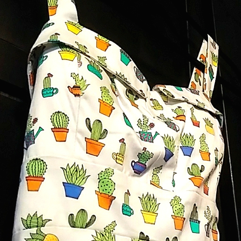 Dress cactus - Picture 3 of 12